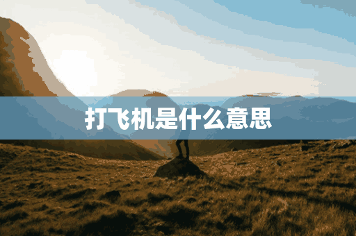 打飞机是什么意思